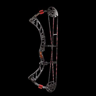 China Hunting Advanced SANLIDA 330FPS Hunting Compound Bow Gear for sale