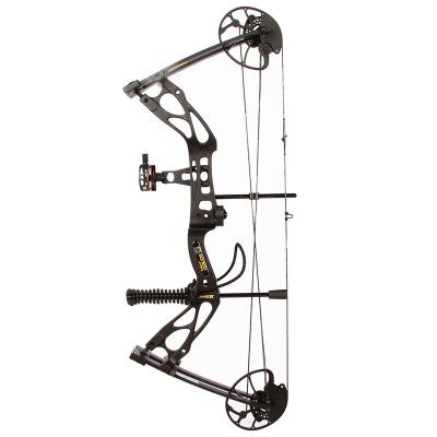 China Sanlida Archery Dragon X8 Hunting Compound Bow 0-70lbs ATA 30