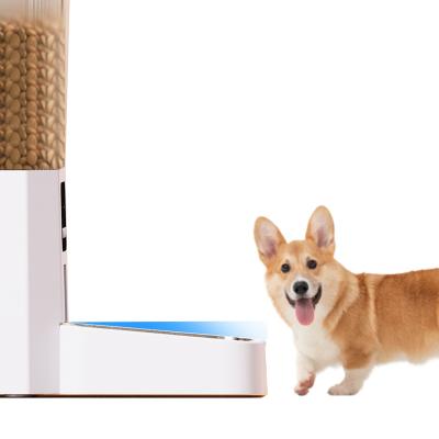 China APP Automatic Control Pet Smart Auto Feeder Cat Dog Feeder 6L Timing WiFi Quantitative Video Version for sale