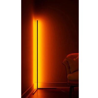 China Modern Colorful Color Changing Minimalist RGB Dimmable High Quality Light Floor Lamp Stand Remote Control Floor Lamps for sale