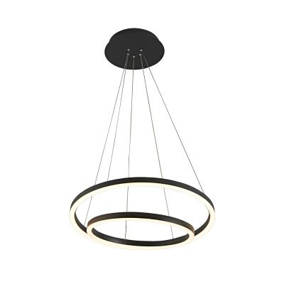 China Slim And Gold Contemporary Elegant Luxury Round Led Metal Ring Lighting Led Circle Lamp for sale