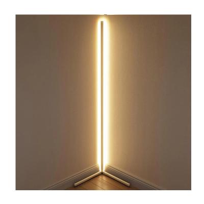 China Modern Modern Bed Room With Remote Control Color Changing Nordic Lamp LED Floor Light for sale