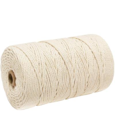 China 3mm 4mm Viable Colorful 5mm Single Strand Twisted Macrame Rope Cotton Macrame Rope for sale