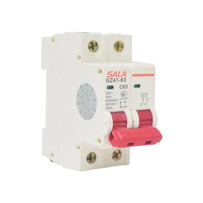 China OEM 6A - 63A 6ka 2 Pole 2P CE Main Electrical Miniature Circuit Breaker 4kA / 6kA for sale