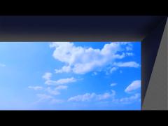 Eye-naked 3D advertising led display screen