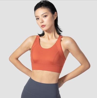 China Breathable Fitness Yoga Running Vest Gathered Shockproof Breathable Ladies No Steel Rings Sports Bra for sale