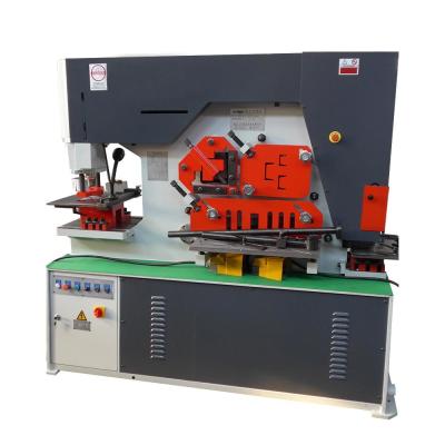 China Q35Y Metal Mechanical Ironworker Press Brake Ironworker Shear Machine for sale