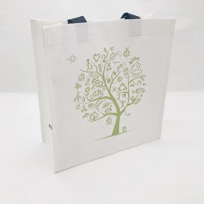 China 2020 New Brand Manager Recycled Shopping Online Paptic Recyclable Material Top Shopping Bags With Logos for sale