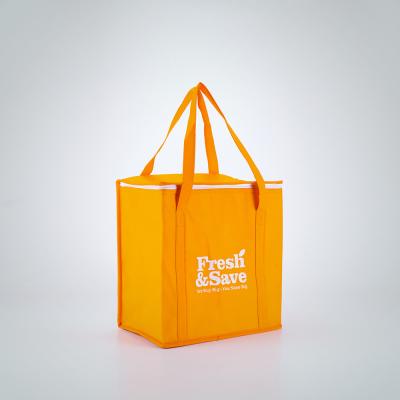 China Promotional Fresh Handled Non Woven Insulated Cooler Bag From China Wholesale Market for sale