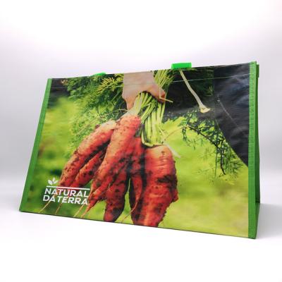 China China Wholesale Market PP Handled Promotional Shopping Bag CMYK Printing for sale