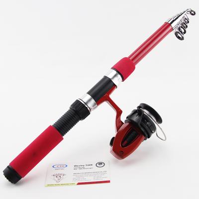 China Glass Waterproof Fishing Rod With Reel And Bait In Carry Tackle Bag for sale