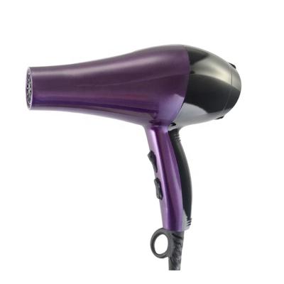 China Other Factory Manufacturer 2500w 2 Speeds Professional DC Motor Hair Dryer For Home Use And Hotel for sale