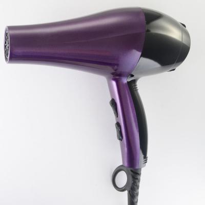 China BBS-6809 2500w Ionic Commercial Professional Household Powerful Hair Dryer for sale