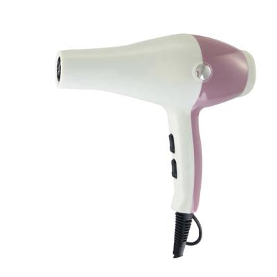 China Other salon ac motor/hot selling professional diffuser/professional blow function ionic and induction hair dryer for sale