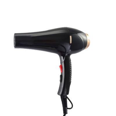 China Other New Arrival Salon AC Motor 3500w Professional Commercial Fast Drying Hair Dryer 2022 for sale