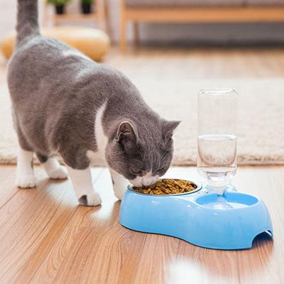 China New Design Sustainable Gravity Cat Pet Automatic Food Dispensing Automatic Pet Feeder For Dogs And Cats for sale