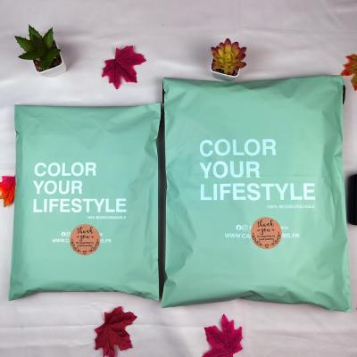 China Strong Adhesive Custom Printed Green Poly Envelopes Mailers Mailing Waterproof Packaging Shipping Bags For Swimsuit for sale