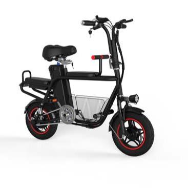 China 2020 New Double Seat Factory Price High Speed ​​Electric Bike Two Wheel Electric Bicycle for sale