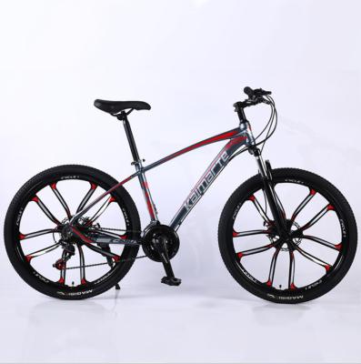 China eco-friendly high speed bicycle mountain bike electric bike for sale for sale