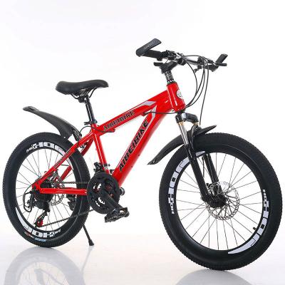 China Fat Tire Eco-friendly High Speed ​​Electric Bike Folding Adult Bike for sale