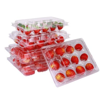 China Factory Direct Wholesale Disposable Plastic Packaging Box Transparent Plastic Box for sale