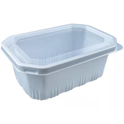 China Wholesale Disposable Fruit Pastry Packaging Box Plastic Packaging Box Clear Plastic Box China Manufacturer for sale