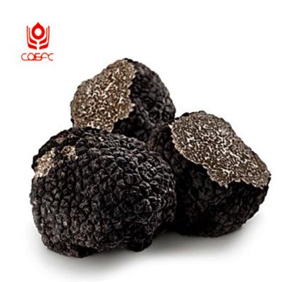 China Fresh Air Ship Supply Chain Cold Wild Frozen Truffle Funges for sale