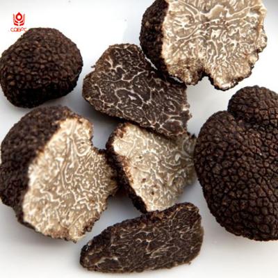 China Food company export JELLY dry indicum/turber truffle mushrooms for sale