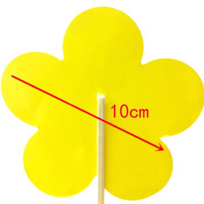 China Disposable Yellow Insect Board Plant Gardening Sticky Fruit Fly Trap Indoor for sale