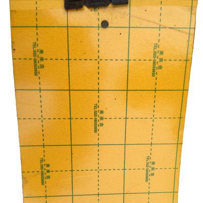 China Disposable yellow sticky traps for detecting and monitoring greenhouse whitefly for sale