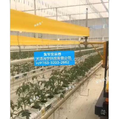 China 2020 Most Effective Yellow Sticky Setting Tool Disposable Most Trap Rolls For Factory Price for sale