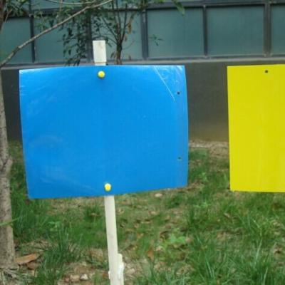 China 40CM*25CM Disposable Blue Thrip and Leafminer Monitoring Sticky Trap for sale