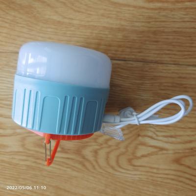 China High Quality Outdoor Accessories USB Light For USB Travel Camping Light For Tent Growing Light From China Factory Supplier for sale