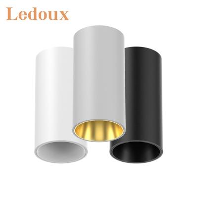 China LEDOUX New Design Modern Cylindrical Shape Outdoor Floodlight Indoor 10W 15W 20W 30W LED Downlight for sale