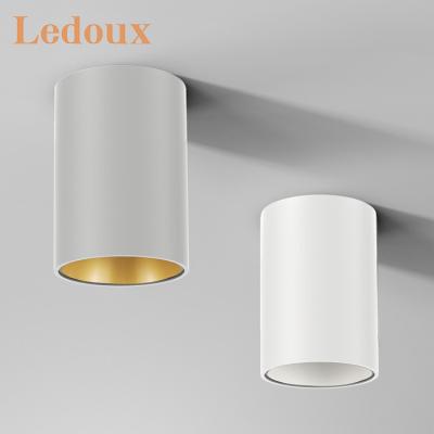 China New Arrival Modern LEDOUX Antigalre Ceiling Outdoor Mounted Spotlight Indoor 10 15 20 30 W LED Downlight for sale