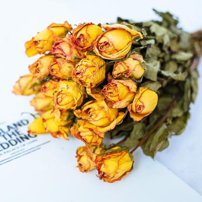 China Dried Flower Dried Low Price Rose Dried Flower Bouquet Gift Dried Hibiscus Flower for sale