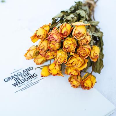 China Wholesaleted dry preserved flower bouquet dried by freiated flower bakerporcelain rose dry flower bouquet strength orange hoodie hi for sale