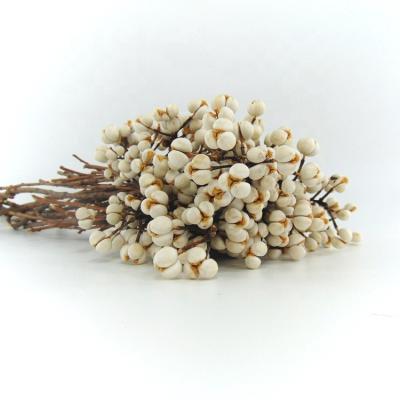 China Minimalist Custom Dried White Mini Flower Chinese Tallowtreedried Flowers For Decoration for sale