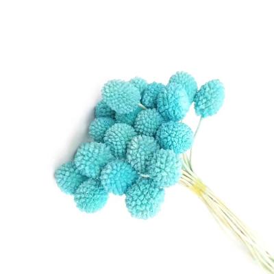 China Natural flower custom preserved billy balls handmade preserved flower to fade bakerlayered bouquet for preserved flower jewelry box for sale