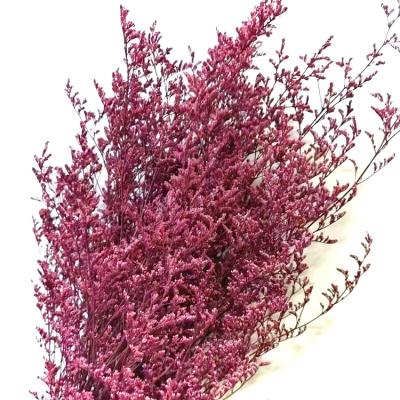 China Flower wholesale price preserved misty limonium garland flowers for decoration wedding bouquet bakerlayered ballsted for sale