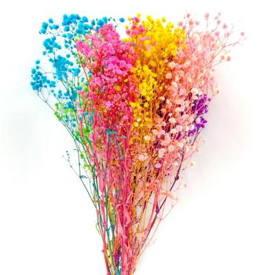 China Natural Flower Custom Preserved Gypsophila Flower Wall Decorative Flower Garland Fade Bakerlayered Bouquet for sale