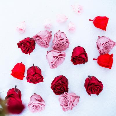 China Wholesale Preserved Flower Preserved Flowers Rose Home Decoration Ornaments Handmade Rose Preserved Flower Eternal for sale