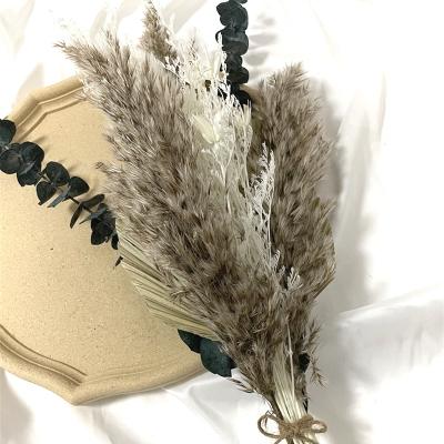 China Wholesale Natural Preserved Flowers Dried Bouquet Bridal Bouquet Box Pampas Grass Bouquet Packaging for sale