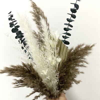 China Natural flowers wholesale dried flower wedding bouquet dry bouquet Preserved bridal bouquet flower for sale