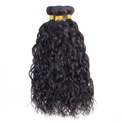 China Factory New Arrival Water Wave Brazilian Hair 100% Virgin Capelli Human Hair Extensions Water Wave Human Hair 100% Virgin Hair for sale