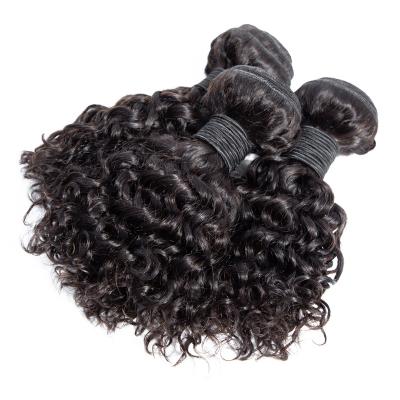 China Curly 100% Virgin Hair Human Grade 9A 3 Bundles 10 Inch Brazilian Curly Weavce Hair Weave Bundles With Closure for sale