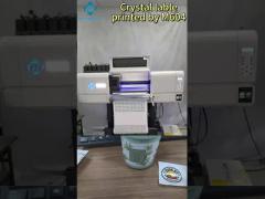 Epson i3200 U1 DTF UV Printer CMYK + White + V Maintop 6.1/PP Soft RIP Up To 1.5mm 1880 Dpi