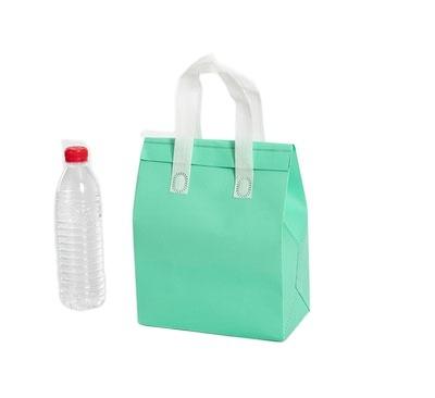 China Cake Insulation Bag Waterproof Portable Non Woven Ice Cooler Bag Eco-Friendly Waterproof BAG for sale