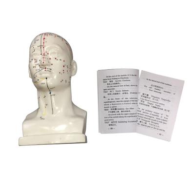 China High Quality Eco-friendly Head Acupuncture Model Medical Use Acupuncture Model for sale