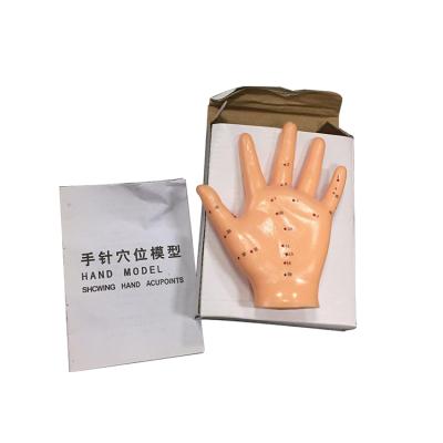 China Eco-friendly Chinese Acupuncture Model Energetic Acupuncture Hand Model 13cm Hand Model for sale